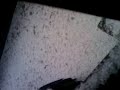 first time in Lahore... heavy snow falling in Lahore