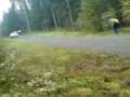 volvo 242 turbo rally