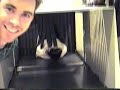 random short random short