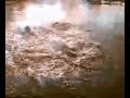 The Matzen vs. Charmen Swim