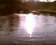 The Matzen vs. Charmen Swim