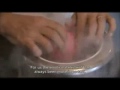 cooking in progress