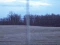 Whitetail Deer in Pataskala, Ohio #3