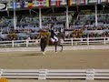 Grand Prix Freestye 2nd place winner at DRESSAGE AT DEVON 20 Grand Prix Freestye 2nd place winner at DRESSAGE AT DEVON 20