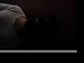 the sound of animals fighting   teaser #3