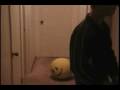 The Sleepless Hotel (horror) 