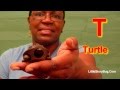 Preschool Activity - T is for Turtle - Littlestorybug