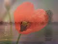Vivaldi - Summer