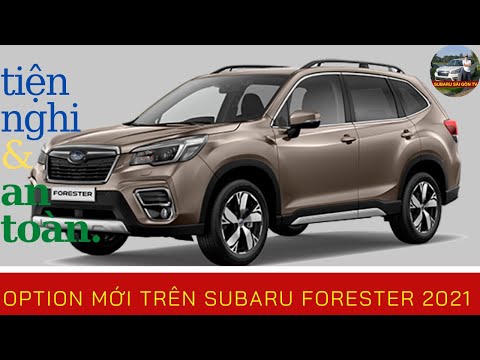 Lần Đầu Trải Nghiệm 