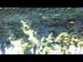 ����.����帻:YouTube������=16��