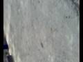 videos de 09112008006.mp4