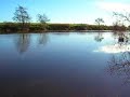 The barbel gear puts in an appearance