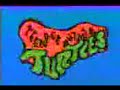 Ninja Turtles