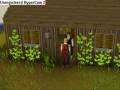 videos de Runescape - Jackson and nub 1