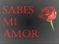 nadie sabe que me estoy muriendo