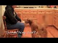 Beau - Training Levels Three (part 2)