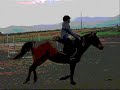 galop-3-avec-fus-e-la-dame-blanche-.html