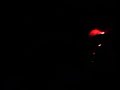 bjork-12-earth-intruders-and-all-of-army-of-me.html