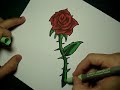 Speed Drawing Red Rose Speed Drawing Red Rose