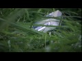 Mostri per le masse - booktrailer