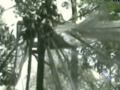 Click here to watch this video Earthquake Cripples Indonesia