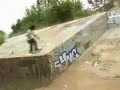 Osiris  Feed the Need Shuriken Shannon