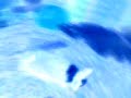 fluffee-crazy-circlez.html