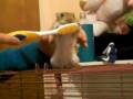 videos de nosie brushing her teeth