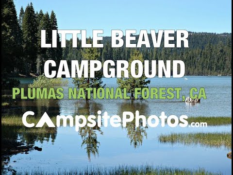 Little Beaver Campground, Plumas National Forest, California Campsite Photos