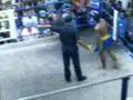 muay thai german guy