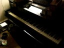 Steinway Duo Art Player Grand Piano - Waltz of the Flowers Steinway Duo Art Player Grand Piano - Waltz of the Flowers