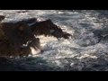 the film is of the trip to fair isle, to write and and record with folk singer and poet, lise sinclair. fair isle is perched in the middle of the north sea and sits midway between the shetland islands, the most northerly point in the united kingdom, and the orkney islands. the lyrics were written by lise about her experience of living by the sea in fair isle, which is britain's most remote inhabited island. all of the players on the track are from the island itself (apart from john robertson who played bass back in london). special thanks is due to all the islanders for their warm hospitality and contributions to the track and film. 'a place the sea' credits lise sinclair - vocals lise sinclair, damian montagu, stewart neil, and anne sinclair - backing vocals neil thomson - guitar john robertson - bass lise sinclair and damian montagu - keyboards bernadette porter, jim leask, lise sinclair and stewart thomson snr - fiddles music written and produced by lise sinclair and damian montagu lyrics by lise sinclair edited by matt dollings