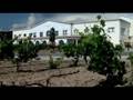 videos de MATARROMERA