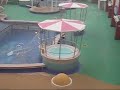 Snow on the Norwegian Gem.wmv
