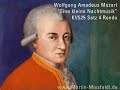 wolfgang amadeus mozart   speed painting by m  missfeldt