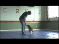Training Koda