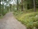 Träning på Lugnet Träning på Lugnet