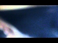 Kay One ft Mario Winans- I Need A Girl Parodie (von Rayflotv)