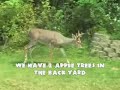 3 bucks