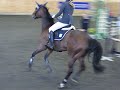 Billdal 13/4-08