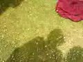 MOV00156.3GP