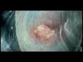 Bjork - Nature is Ancient