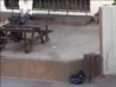 Pulik backside Pulik backside