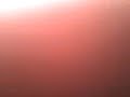 nnxti2 nnxti2