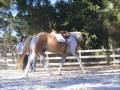 videos de Kathy with Bob and Taxi