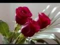  - videoclipul lui FOREVER_IN_LOVE