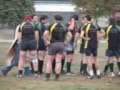 Ragbi klub  Vojvodina