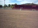 Twenty One Trotting Loping Pattern