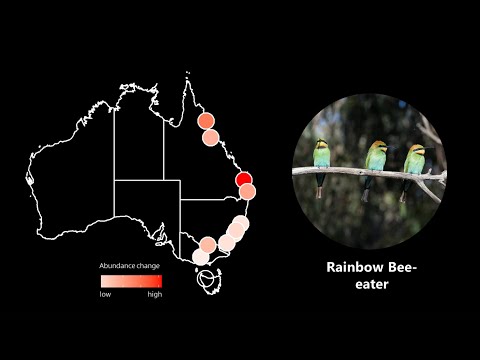 <p>More than weather: How radar can help us with birding and understanding bird migration</p>
 video thumbnail