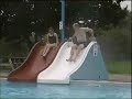 Pool Time